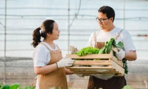 小農產地合作成果
