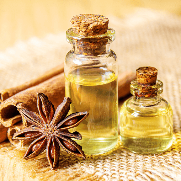 台灣印加果油的領航者