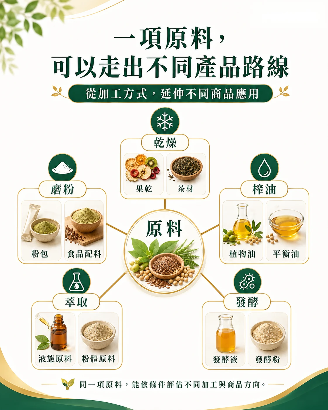 同一項原料可透過乾燥、磨粉、榨油、萃取、發酵等工法,走向不同產品路線。