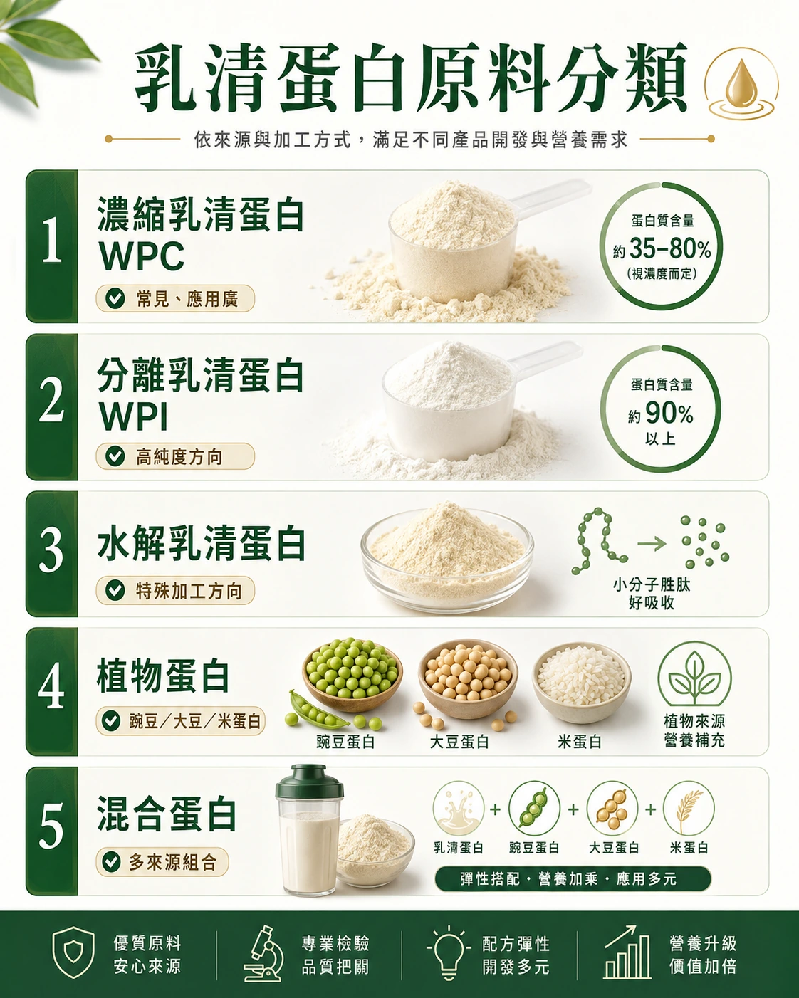 乳清蛋白原料分類:WPC、WPI、水解乳清、植物蛋白與混合蛋白